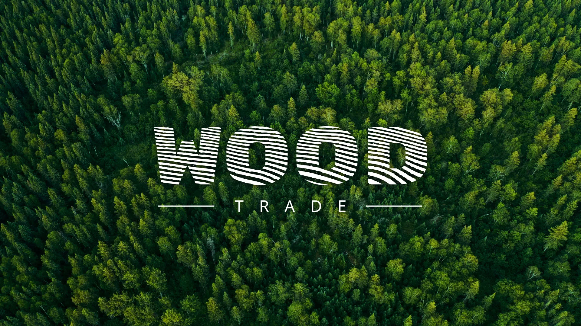 Разработка интернет-магазина компании «Wood Trade» в Ужуре