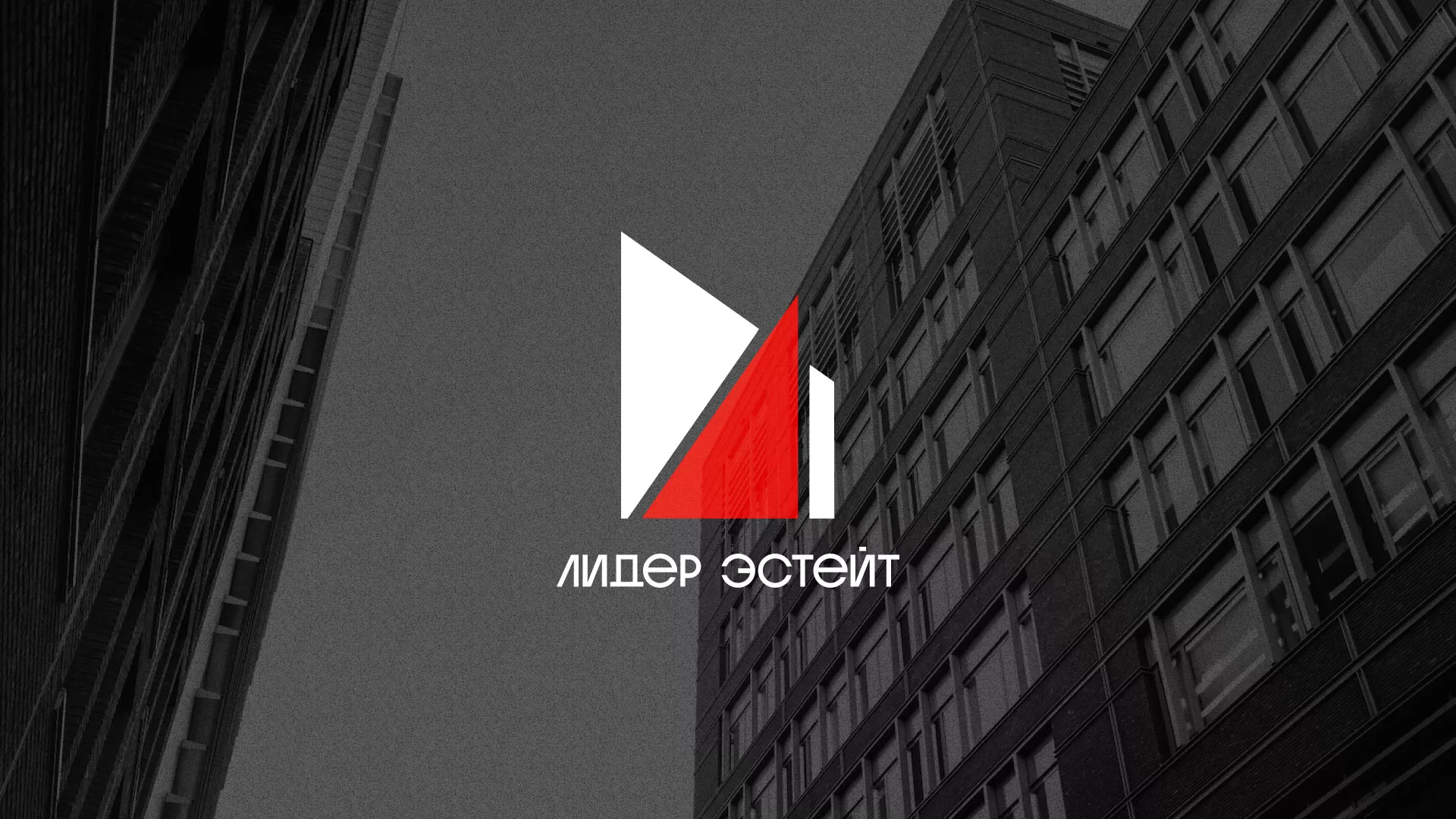 Сделали логотип для агентства недвижимости «Лидер Эстейт» в Ужуре